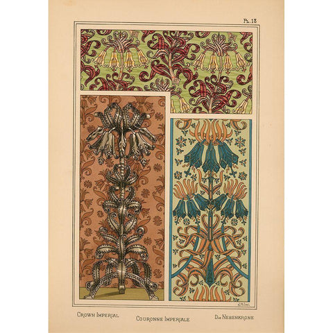 Plate 18 - Crown Imperial Gold Ornate Wood Framed Art Print with Double Matting by Vintage Apple Collection