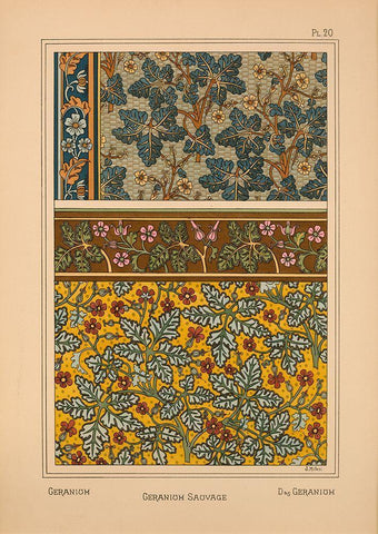 Plate 20 - Geranium White Modern Wood Framed Art Print with Double Matting by Vintage Apple Collection