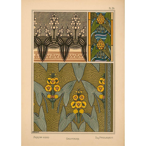 Plate 26 - Arrow-Head Gold Ornate Wood Framed Art Print with Double Matting by Vintage Apple Collection