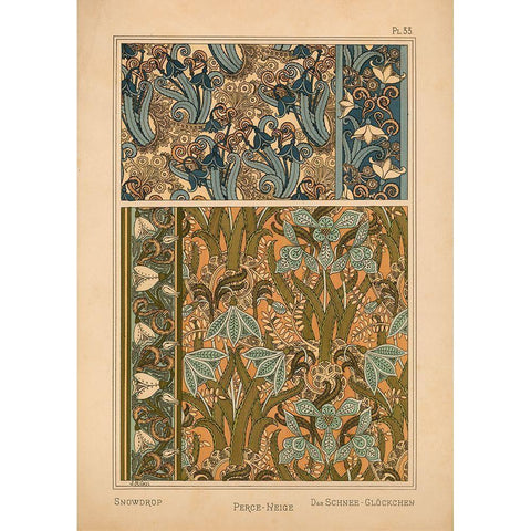 Plate 33 - Snowdrop Gold Ornate Wood Framed Art Print with Double Matting by Vintage Apple Collection