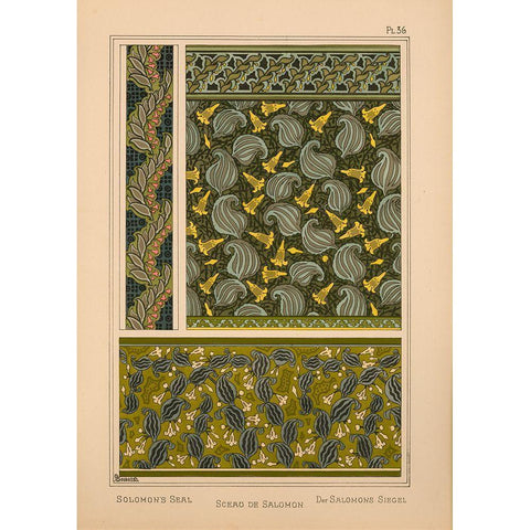 Plate 36 - Solomons Seal Gold Ornate Wood Framed Art Print with Double Matting by Vintage Apple Collection