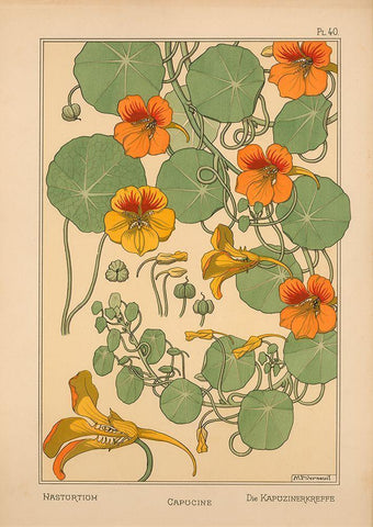 Plate 40 - Nasturtium Black Ornate Wood Framed Art Print with Double Matting by Vintage Apple Collection