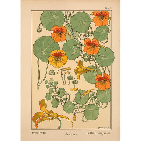 Plate 40 - Nasturtium Gold Ornate Wood Framed Art Print with Double Matting by Vintage Apple Collection