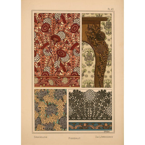 Plate 45 - Dandelion White Modern Wood Framed Art Print by Vintage Apple Collection