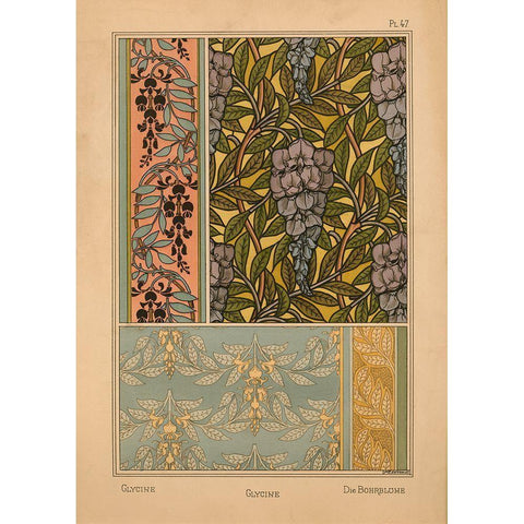 Plate 47 - Glycine Gold Ornate Wood Framed Art Print with Double Matting by Vintage Apple Collection