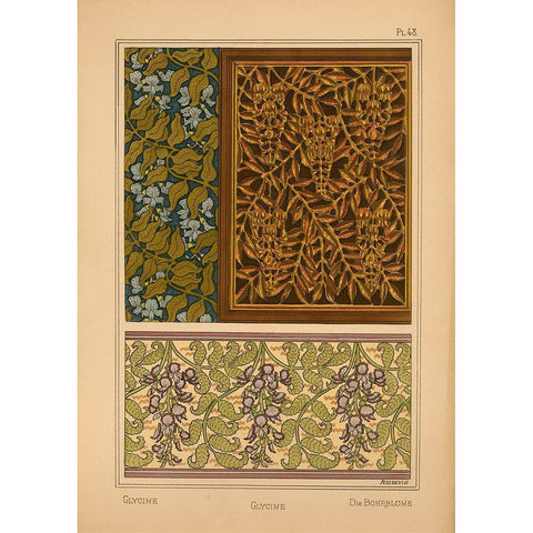 Plate 48 - Glycine Gold Ornate Wood Framed Art Print with Double Matting by Vintage Apple Collection