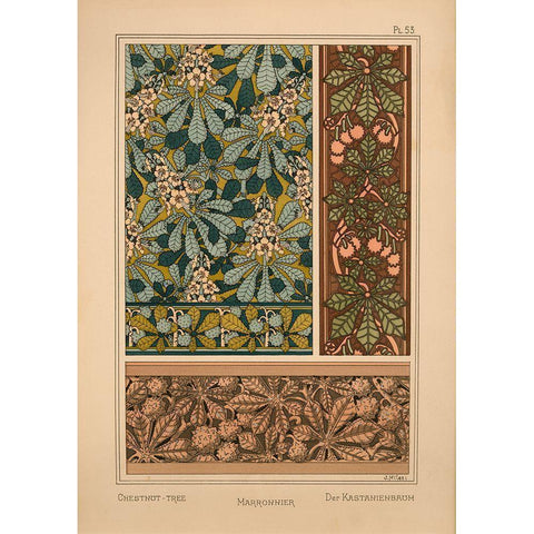 Plate 53 - Chestnut-tree Gold Ornate Wood Framed Art Print with Double Matting by Vintage Apple Collection