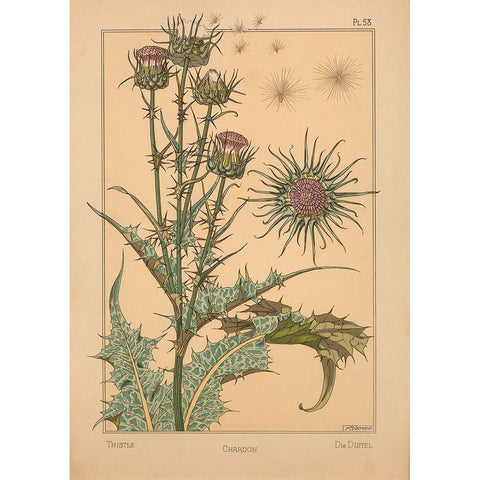 Plate 58 - Thistle White Modern Wood Framed Art Print by Vintage Apple Collection