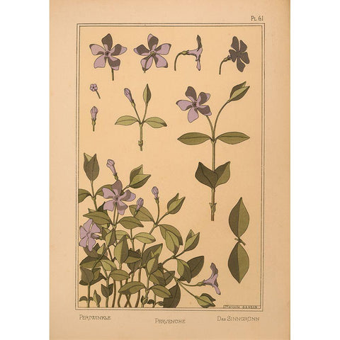 Plate 61 - Periwinkle Gold Ornate Wood Framed Art Print with Double Matting by Vintage Apple Collection