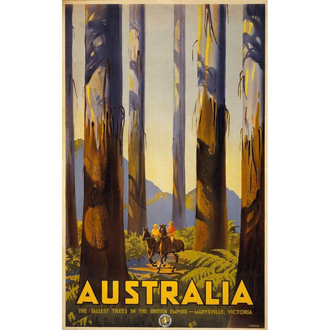 Australia Trees Gold Ornate Wood Framed Art Print with Double Matting by Vintage Apple Collection