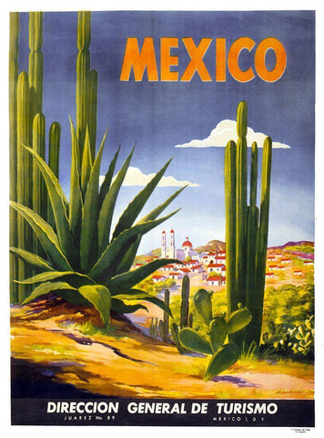 Mexico Cactus Black Ornate Wood Framed Art Print with Double Matting by Vintage Apple Collection