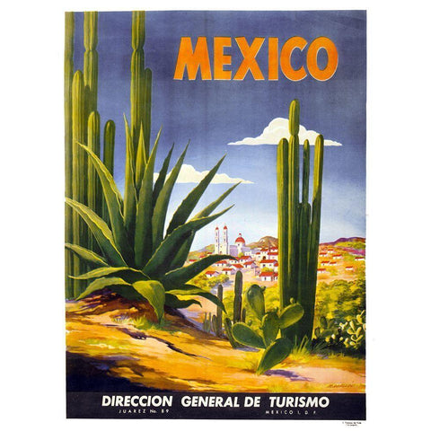 Mexico Cactus White Modern Wood Framed Art Print by Vintage Apple Collection