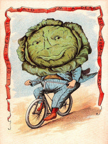 Bike Cabbage Black Ornate Wood Framed Art Print with Double Matting by Vintage Apple Collection