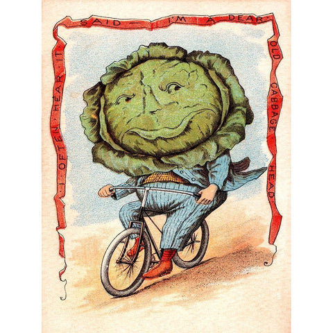 Bike Cabbage Black Modern Wood Framed Art Print with Double Matting by Vintage Apple Collection