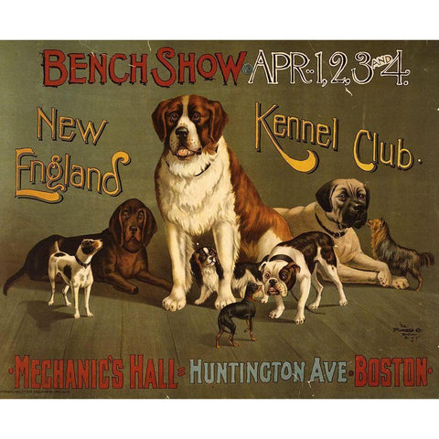 Kennel Club White Modern Wood Framed Art Print by Vintage Apple Collection