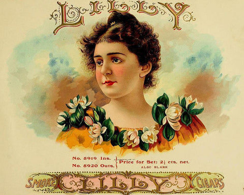 Lily Cig White Modern Wood Framed Art Print with Double Matting by Vintage Apple Collection