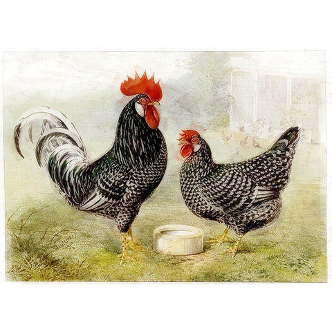 Roosters Gold Ornate Wood Framed Art Print with Double Matting by Vintage Apple Collection