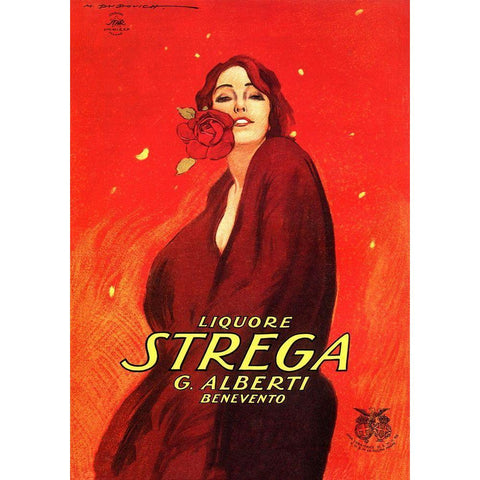 Strega White Modern Wood Framed Art Print by Vintage Apple Collection