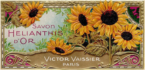 Savon Sunflowers Black Ornate Wood Framed Art Print with Double Matting by Vintage Apple Collection