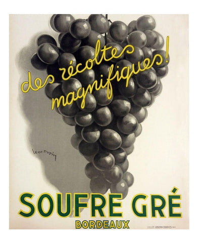 Soufre White Modern Wood Framed Art Print with Double Matting by Vintage Apple Collection