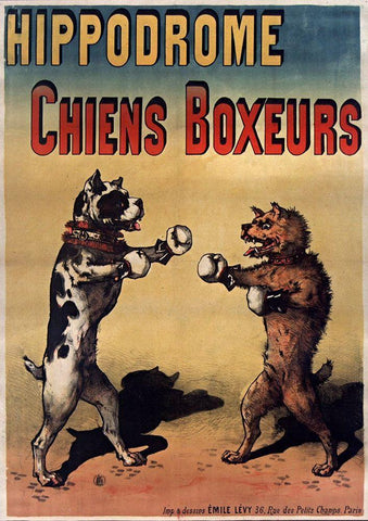 Boxer Dogs Black Ornate Wood Framed Art Print with Double Matting by Vintage Apple Collection