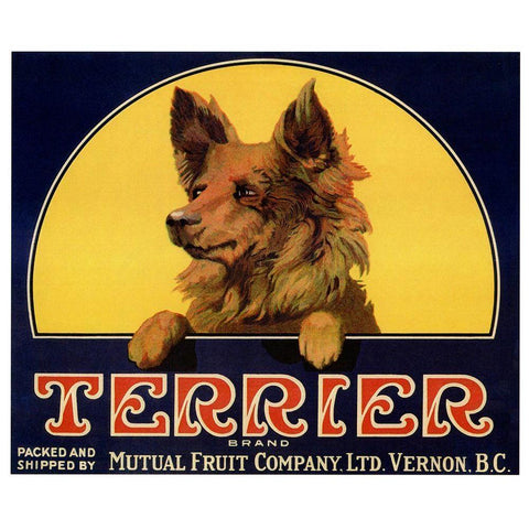 Terrier Label Black Modern Wood Framed Art Print by Vintage Apple Collection