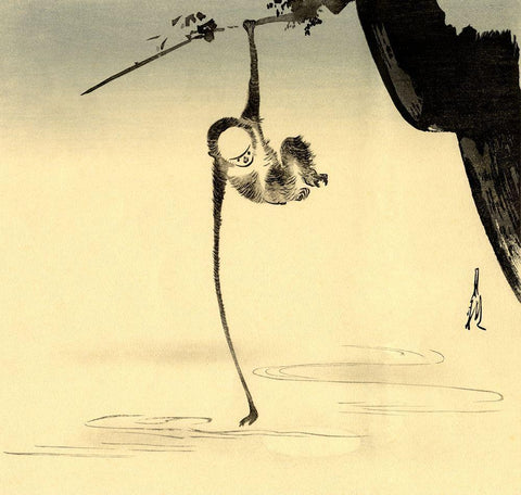 An 64 Monkey White Modern Wood Framed Art Print with Double Matting by Vintage Apple Collection