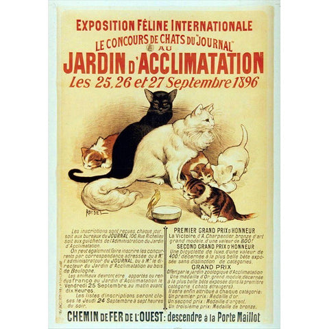 Exposition Feline Black Modern Wood Framed Art Print by Vintage Apple Collection