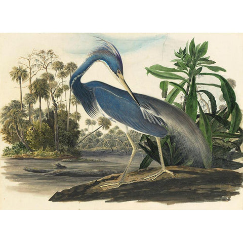Blue Heron Gold Ornate Wood Framed Art Print with Double Matting by Vintage Apple Collection