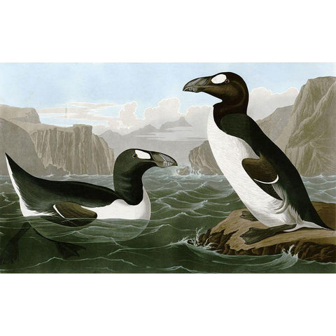 Penguins Black Modern Wood Framed Art Print with Double Matting by Vintage Apple Collection