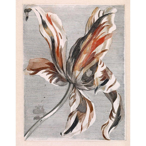 Flowers Five Gold Ornate Wood Framed Art Print with Double Matting by Vintage Apple Collection