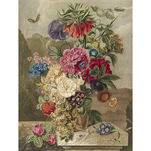 Flowers Seventeen Black Modern Wood Framed Art Print with Double Matting by Vintage Apple Collection