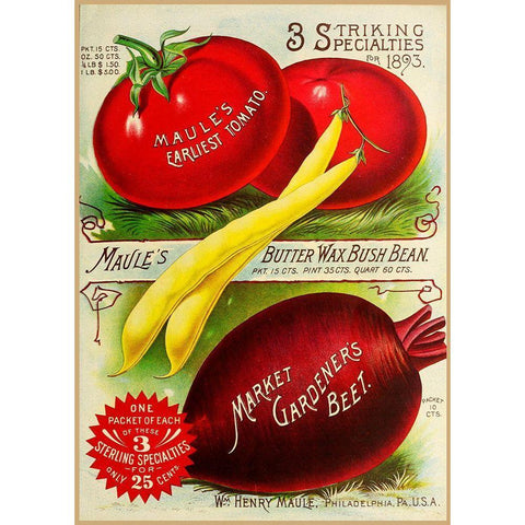 1893 Maule Tomatoes Gold Ornate Wood Framed Art Print with Double Matting by Vintage Apple Collection