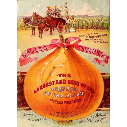 1893 Maules Onion Gold Ornate Wood Framed Art Print with Double Matting by Vintage Apple Collection