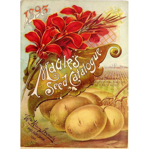 1893 Maules Seed Black Modern Wood Framed Art Print by Vintage Apple Collection