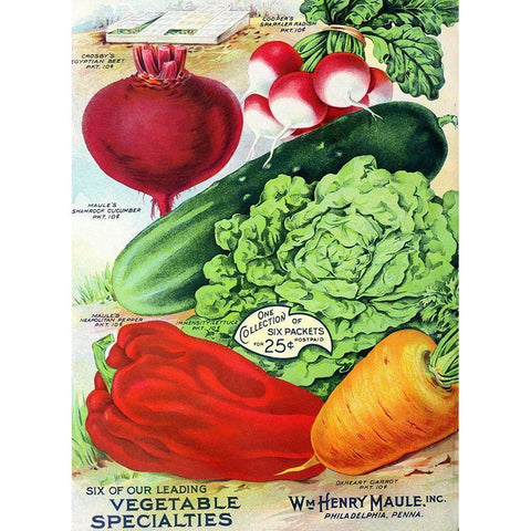 1915 Maule Seed Veggies Black Modern Wood Framed Art Print by Vintage Apple Collection