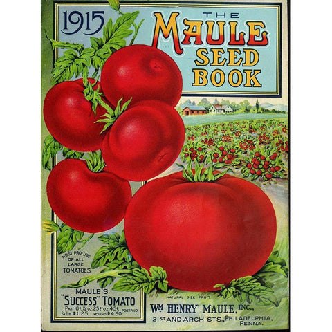 1915 Maule Tomato White Modern Wood Framed Art Print by Vintage Apple Collection