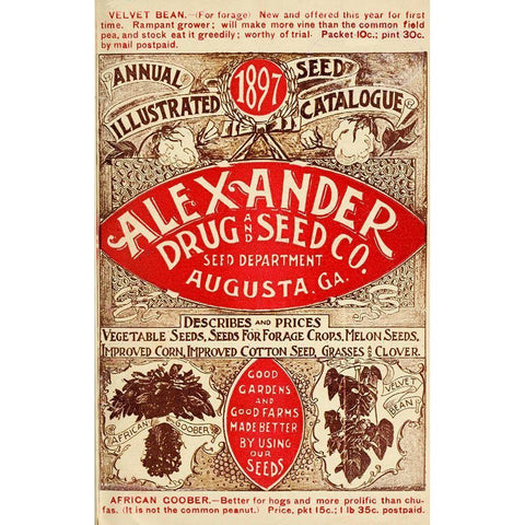 Alexander Seed White Modern Wood Framed Art Print by Vintage Apple Collection