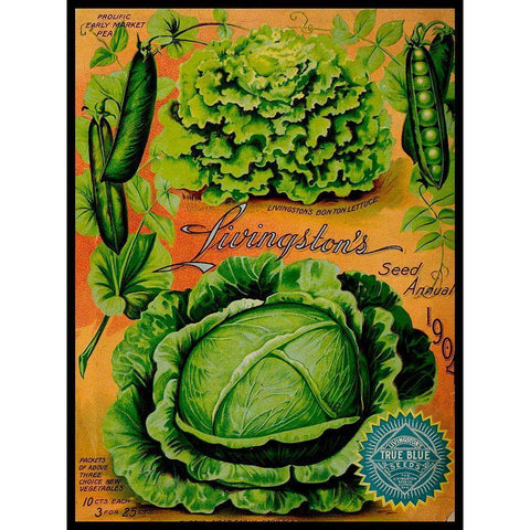 Annual Of True Blue Lettuce Black Modern Wood Framed Art Print with Double Matting by Vintage Apple Collection