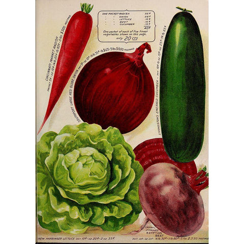 Annual Of True Blue Veggies White Modern Wood Framed Art Print by Vintage Apple Collection
