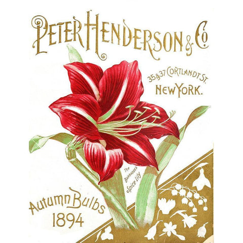 Henderson Amaryllis Gold Ornate Wood Framed Art Print with Double Matting by Vintage Apple Collection