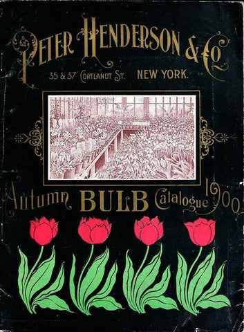 Henderson Tulips Black Ornate Wood Framed Art Print with Double Matting by Vintage Apple Collection