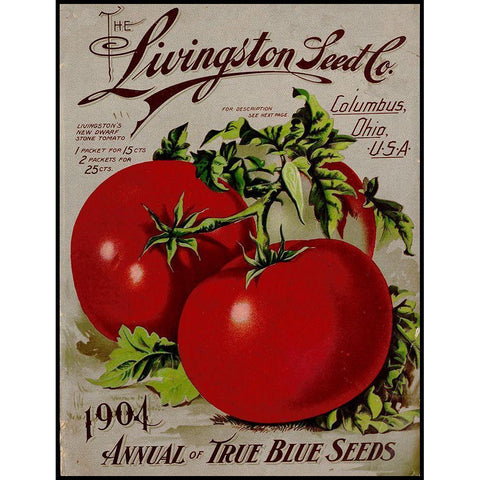 Livingston Tomato Black Modern Wood Framed Art Print with Double Matting by Vintage Apple Collection