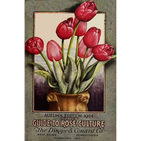 Red Roses Black Modern Wood Framed Art Print with Double Matting by Vintage Apple Collection