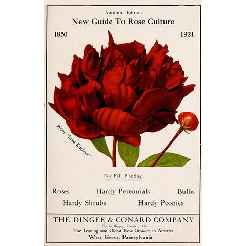 Rose Culture Gold Ornate Wood Framed Art Print with Double Matting by Vintage Apple Collection