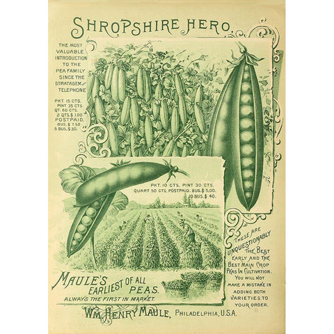 Shropshire Peas Black Modern Wood Framed Art Print by Vintage Apple Collection