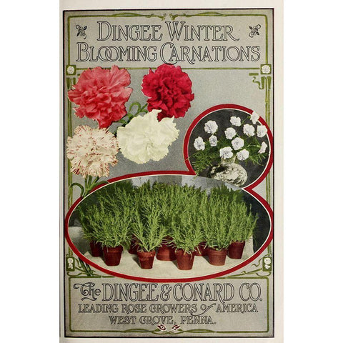 Winter Carnations White Modern Wood Framed Art Print by Vintage Apple Collection