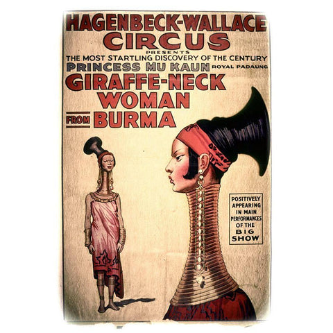 Giraffe-Neck Black Modern Wood Framed Art Print with Double Matting by Vintage Apple Collection