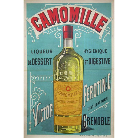 Camomille White Modern Wood Framed Art Print by Vintage Apple Collection