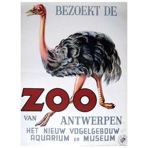 Antwerp Zoo White Modern Wood Framed Art Print by Vintage Apple Collection